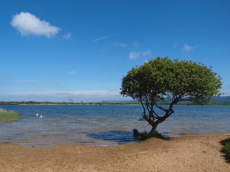 Kenfig Nature Reserve 