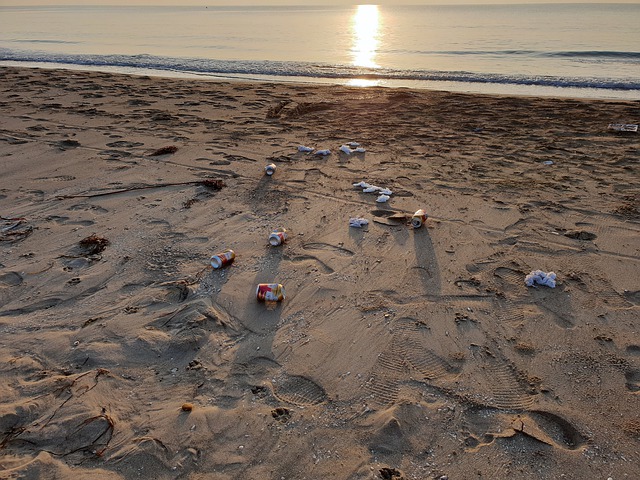 beach pollution