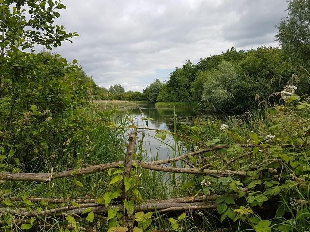  Waters' Edge Country Park?