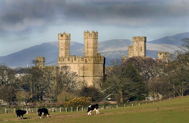 Wales caernarfon-castle