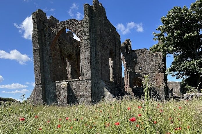 The ruins of Lindisfarne Priory rise amidst a field of wildflowers under a clear blue sky. The structure features large archways and tall walls, indicating its historic significance. A bird can be seen flying above the ruins, and a large tree stands to the right.