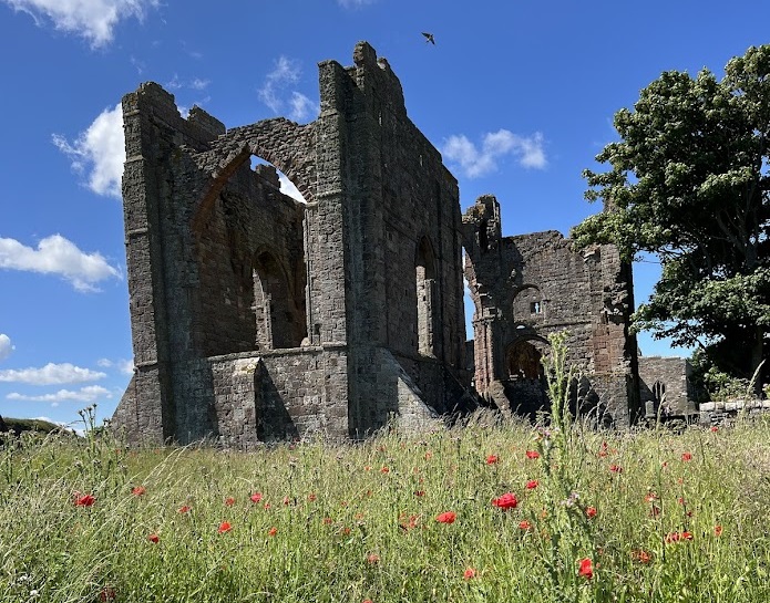 The ruins of Lindisfarne Priory rise amidst a field of wildflowers under a clear blue sky. The structure features large archways and tall walls, indicating its historic significance. A bird can be seen flying above the ruins, and a large tree stands to the right.