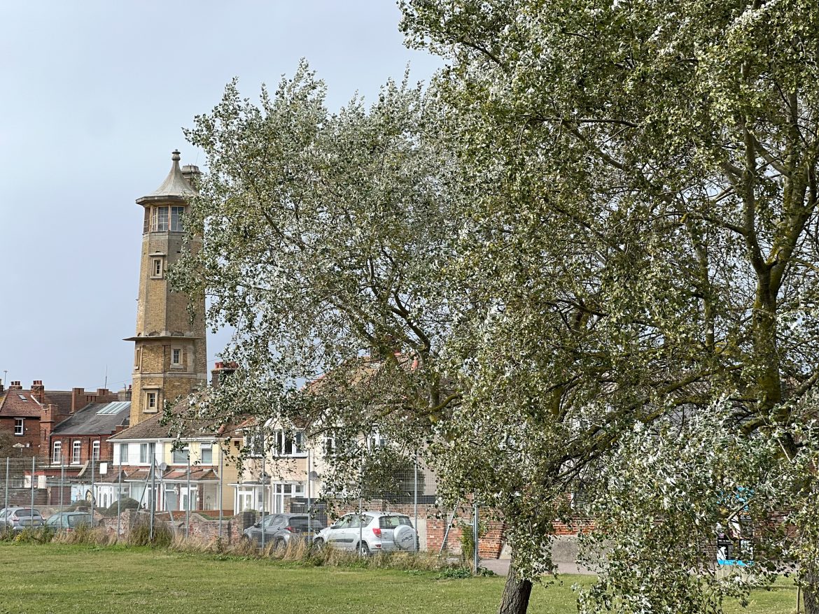 View of the High Lighthouse, partially obscured by trees with nearby houses and a fenced area visible in the foreground.