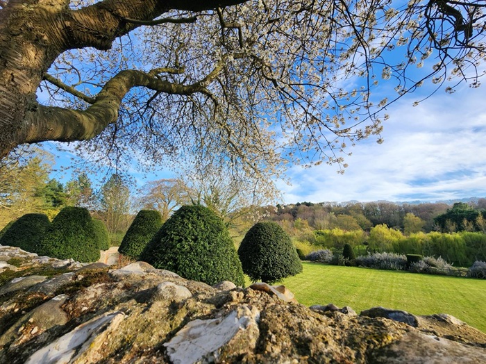 Historic gardens at Stiffkey Old Hall on the North Norfolk Coast, featuring clipped topiary, mature trees and spring blossom.