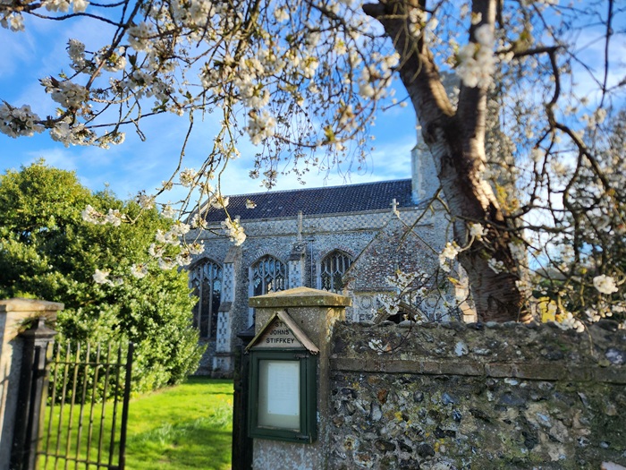 The Church of St John and St Mary in Stiffkey, viewed through spring blossom beside the village entrance on the North Norfolk Coast.